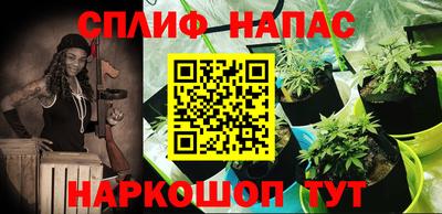 apvp Ставрополь