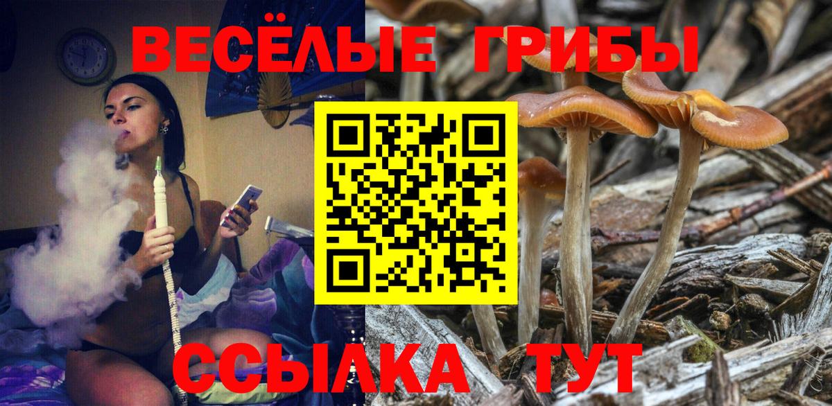 Омск  Псилоцибиновые грибы прущие грибы  Псилоцибиновые грибы Cubensis  Вход с VPN 